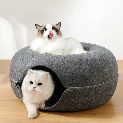 Túnel caminha para gatos